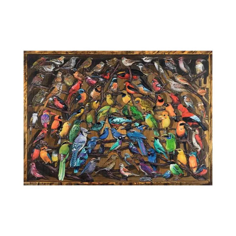 Ravensburger Rainbow of Birds 1000pc puzzle