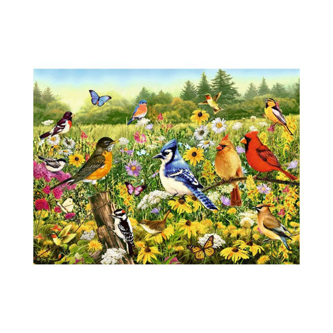 Ravensburger Birds in the Meadow 500pc puzzle