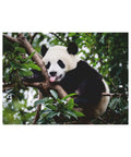 Ravensburger Panda Bear 500pc puzzle