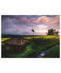 Ravensburger Nature Edition No.22 Bali Rice Field 500pc puzzle