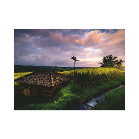 Ravensburger Nature Edition No.22 Bali Rice Field 500pc puzzle