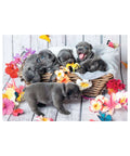 Ravensburger Cute little furballs 2 x 12pc puzzles