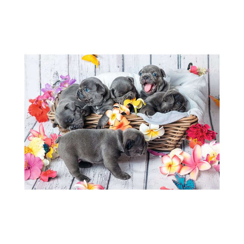 Ravensburger Cute little furballs 2 x 12pc puzzles