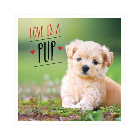 Love is a Pup By Charlie Ellis