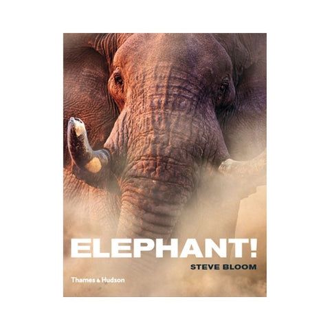 Elephant! By Steve Bloom