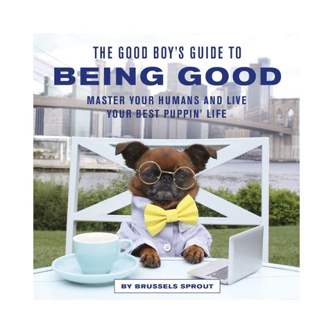  The Good Boy's Guide to Being Good 