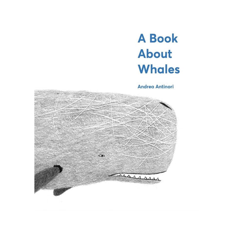A Book About Whales by Andrea Antinori