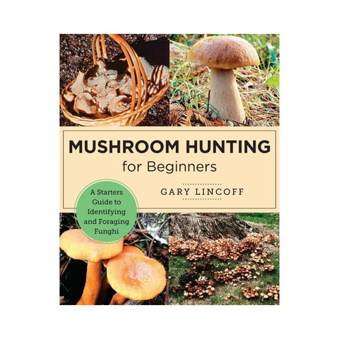 Mushroom Hunting for Beginners 