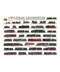 Steam Locomotives 