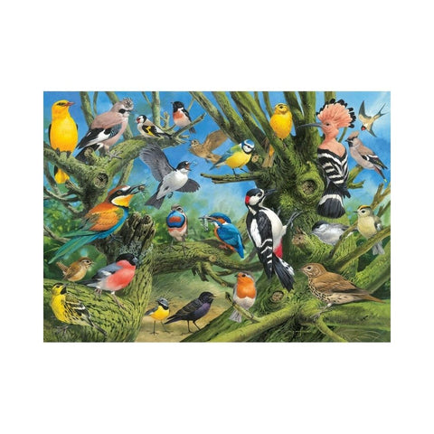 Eurographics - Garden Birds
