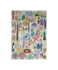 Gibsons - Art File Natural Curiosities 1000pc 