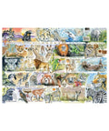 Gibsons - Sun Bears & Sloths 1000pc puzzle