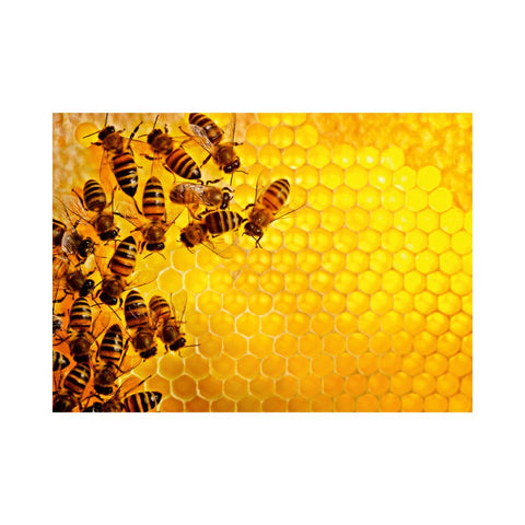 Ravensburger - Bees 1000 pieces