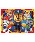 Paw Patrol Team