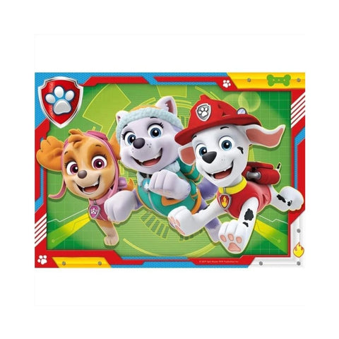 Paw Patrol Team