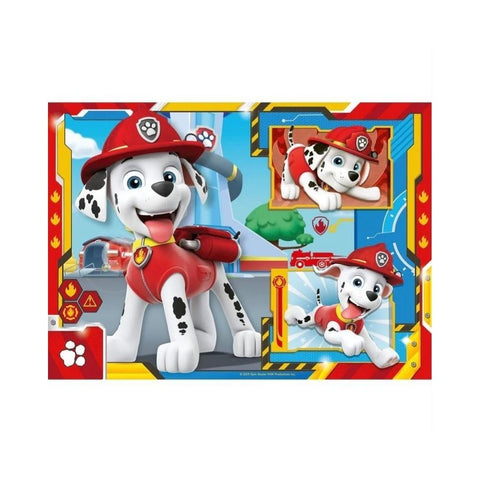 Paw Patrol Team