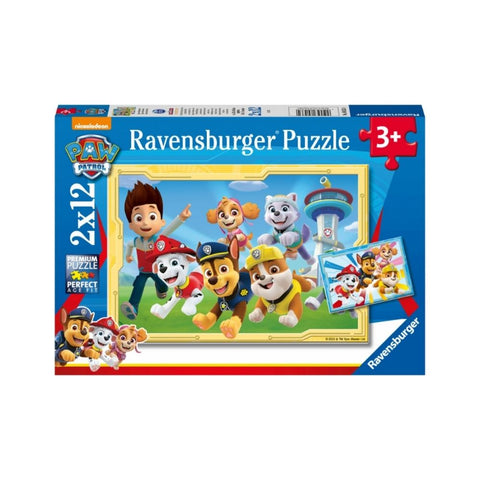 Paw Patrol Super Detectives 