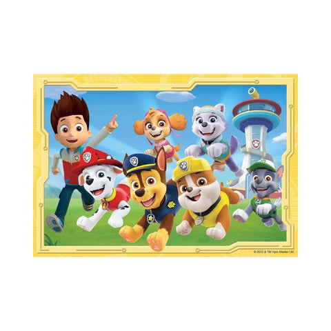 Paw Patrol Super Detectives 