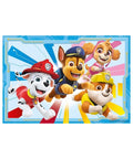 Paw Patrol Super Detectives 