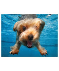 Under Water Dogs Brady - 100 Piece 3D Puzzle