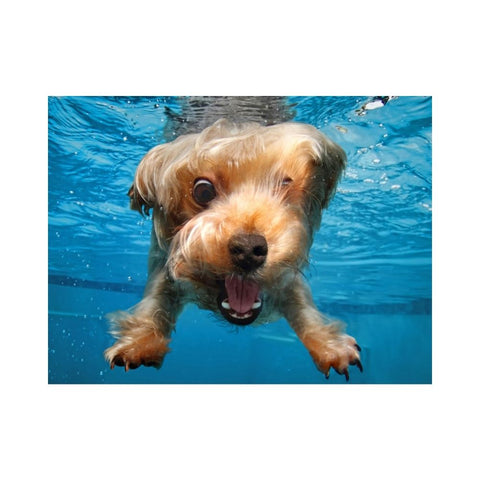 Under Water Dogs Brady - 100 Piece 3D Puzzle