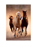 Clementoni - Running Horses 1000-piece puzzle