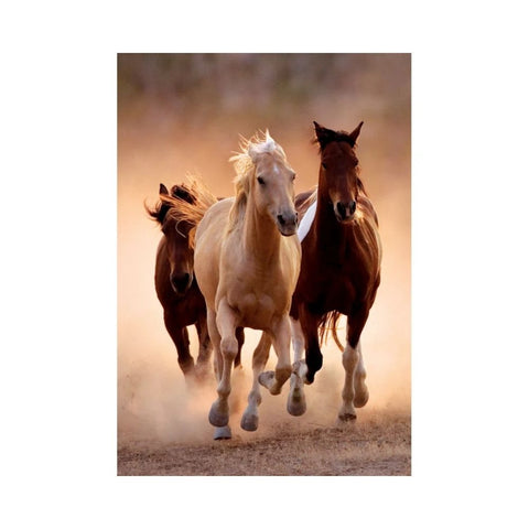 Clementoni - Running Horses 1000-piece puzzle