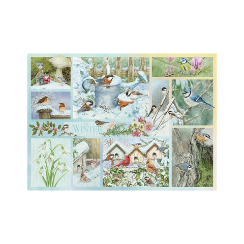 Cobble Hill - Garden Birds In Winter 500XL pieces