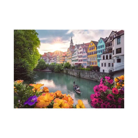 Ravensburger - Trip to Tübingen