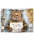 Eurographics - Feline Felon 500-piece puzzle