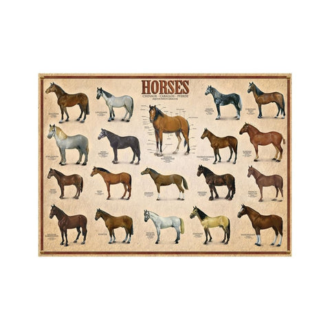 Eurographics - Horses 1000-piece puzzle