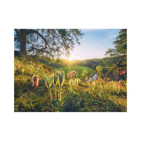 Ravensburger - 4 Seasons 4x500 piece puzzles