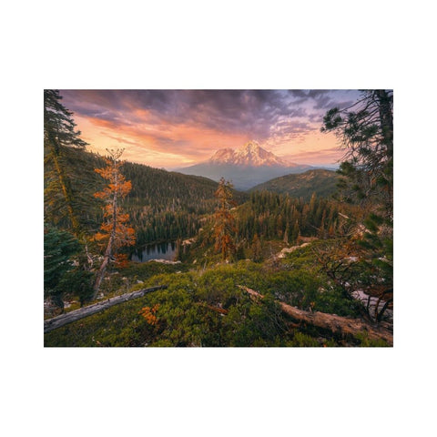 Ravensburger - 4 Seasons 4x500 piece puzzles