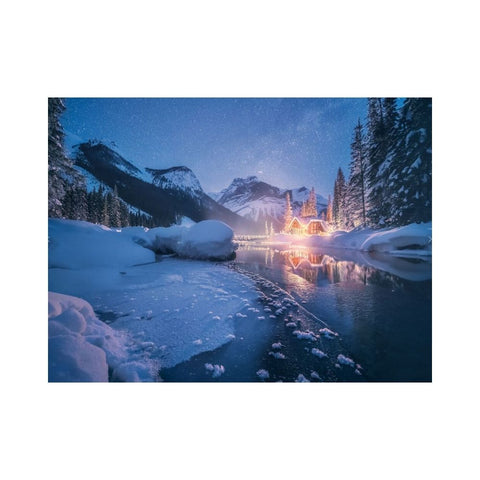 Ravensburger - 4 Seasons 4x500 piece puzzles