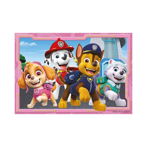 Paw Patrol 