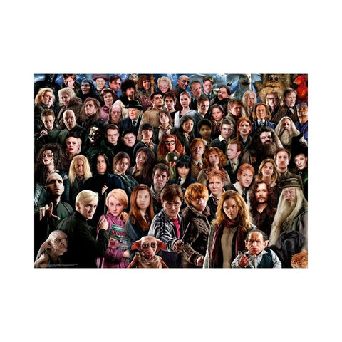 Ravensburger - Harry Potter Challenge