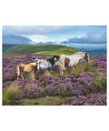 Ravensburger - Wild Horses in the Heather 2000pc 