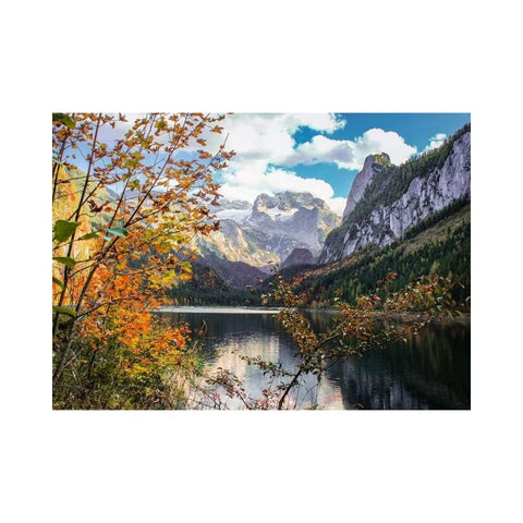 Osterreich Collection