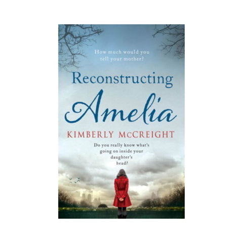 Reconstructing Amelia By Kimberly McCreight