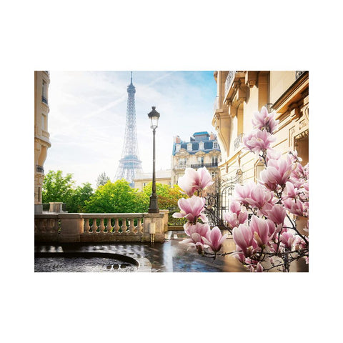 Ravensburger springtime in Paris, 500pc