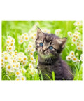 Ravensburger - Kitten in the Meadow 500 pieces