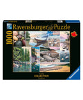 Ravensburger - West Coast Tranquility 