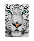 Enjoy - White Siberian Tiger 1000 pieces