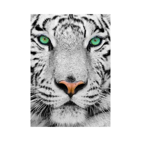 Enjoy - White Siberian Tiger 1000 pieces