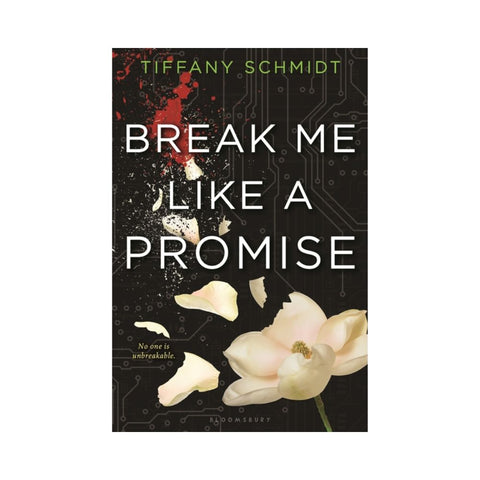 Break Me Like a Promise By Tiffany Schmidt