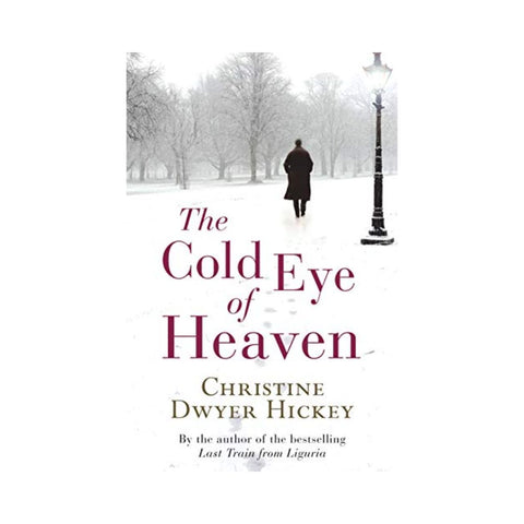 The Cold Eye Of Heaven By Christine Dwyer Hickey