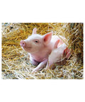 Ravensburger - Farm Animal Babies 2 x 12 pieces