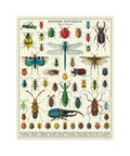 Cavallini & Co. Bugs & Insects 1000pc puzzle