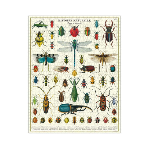 Cavallini & Co. Bugs & Insects 1000pc puzzle