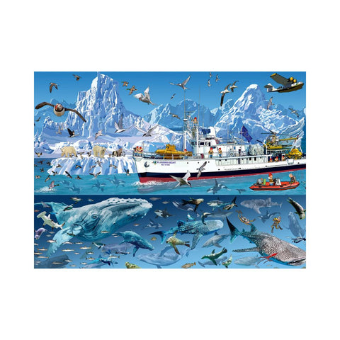 Bluebird Puzzle - François Ruyer - Arctic - Bluebird Boat, 1500 pieces